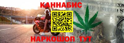 трава Кингисепп