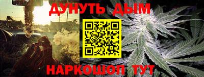 трава Кингисепп