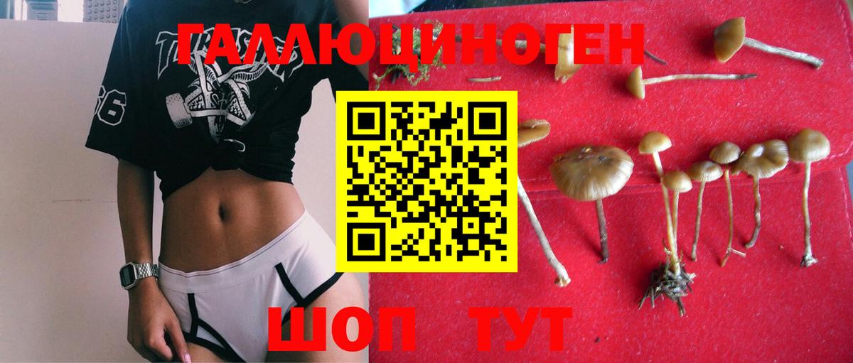 Кострома  Псилоцибиновые грибы мицелий  Галлюциногенные грибы Cubensis  Вход с VPN 